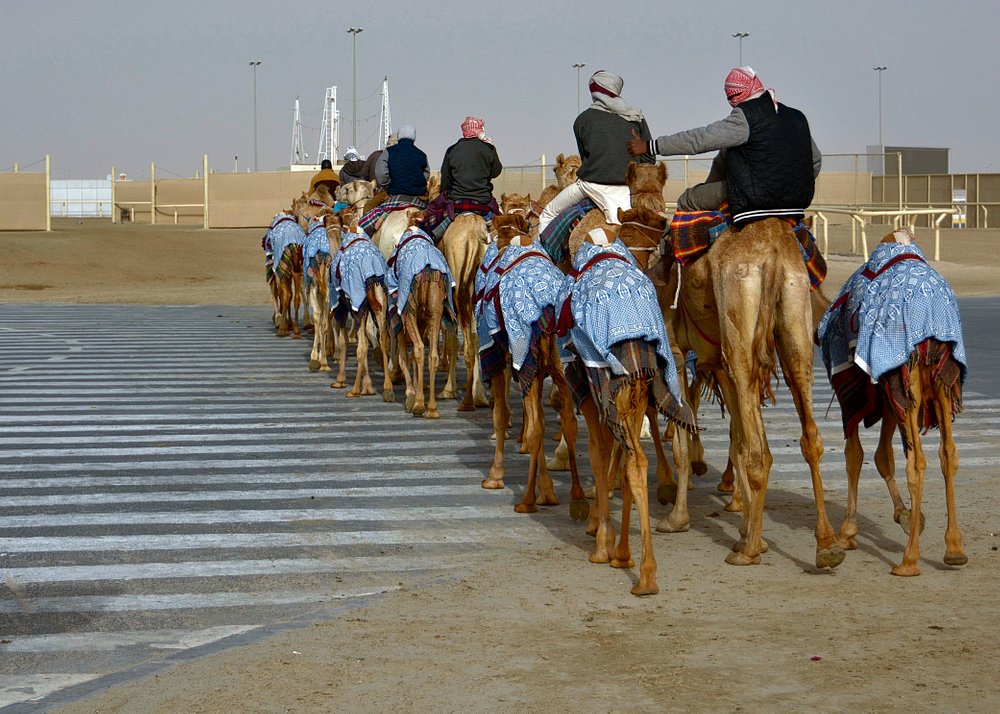 Doha: Pantai Barat Qatar, Balap Unta dan Patung Gurun