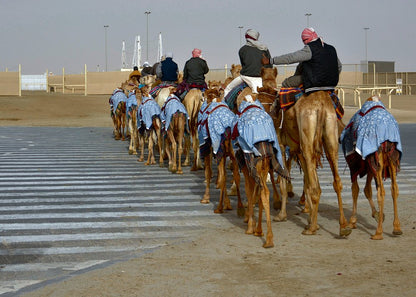 Doha: Pantai Barat Qatar, Balap Unta dan Patung Gurun
