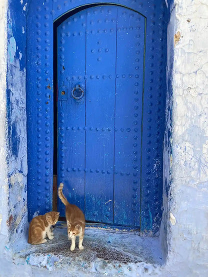 From Fès: Transfer nach Tanger mit Besuch in Chefchaouen