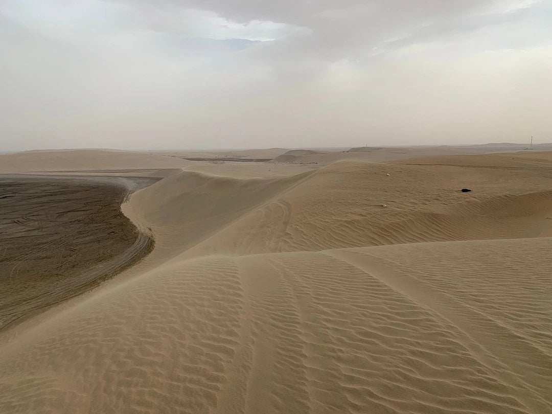 Доха: поездка к Внутреннему морю и сафари-тур по пустыне