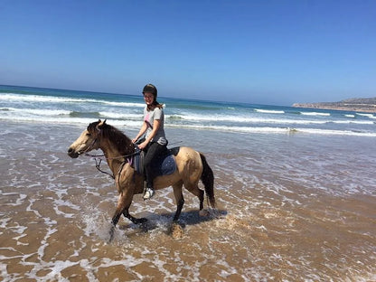 From Agadir or Taghazout: Beach Horseback Ride