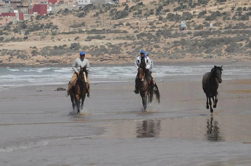 From Agadir or Taghazout: Beach Horseback Ride