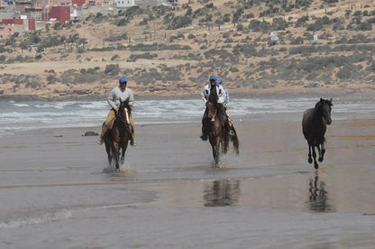 From Agadir or Taghazout: Beach Horseback Ride