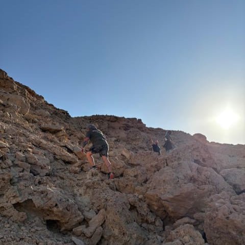 Hurghada: Desert Safari, Hiking, Oasis and Stargazing Tour