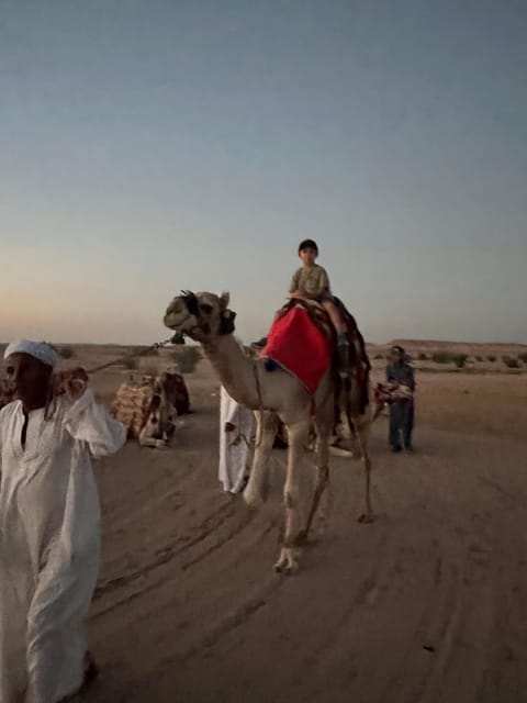 Hurghada: Desert Safari with Camel and Horse Ride