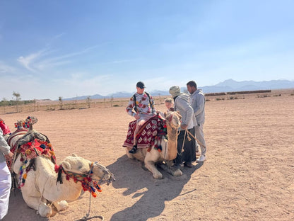 Hurghada: Desert Safari with Camel and Horse Ride