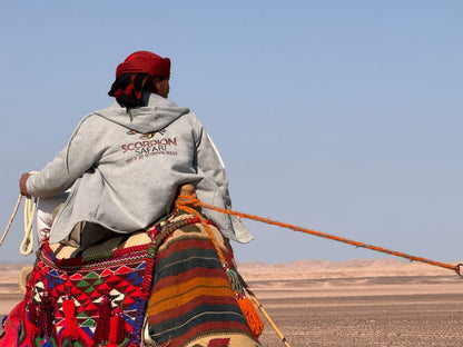 Hurghada: Desert Safari with Camel and Horse Ride