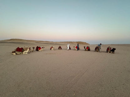 Hurghada: Desert Safari with Camel and Horse Ride