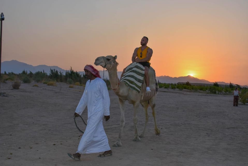 Hurghada: Desert Safari with Camel and Horse Ride