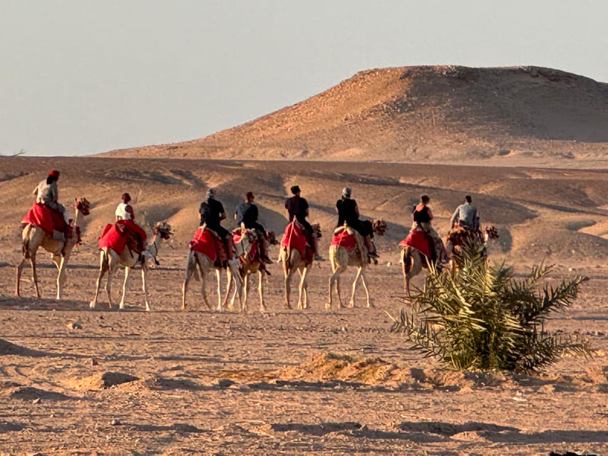 Hurghada: Desert Safari with Camel and Horse Ride