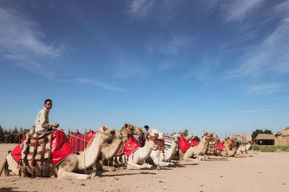 Hurghada: Desert Safari with Camel and Horse Ride