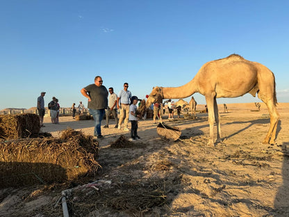 Hurghada: Desert Safari with Camel and Horse Ride