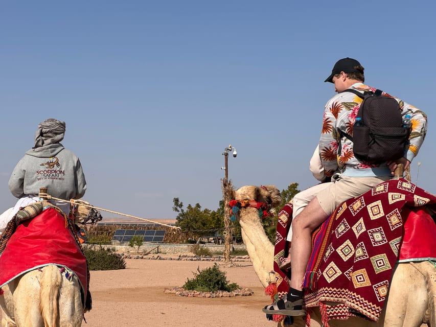 Hurghada: Desert Safari with Camel and Horse Ride