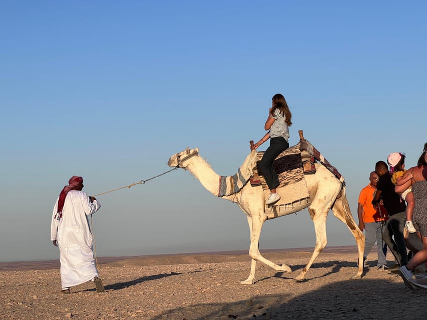 Hurghada: Desert Safari with Camel and Horse Ride