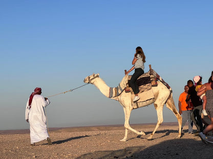 Hurghada: Desert Safari with Camel and Horse Ride