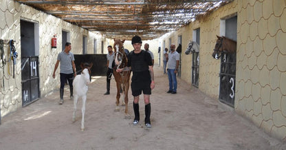 Hurghada: Desert Safari with Camel and Horse Ride