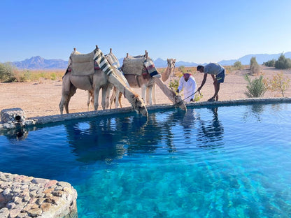 Hurghada: Desert Safari with Camel and Horse Ride