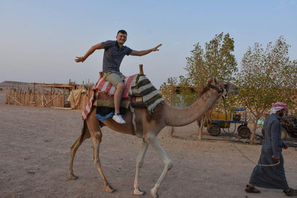 Hurghada: Desert Safari with Camel and Horse Ride