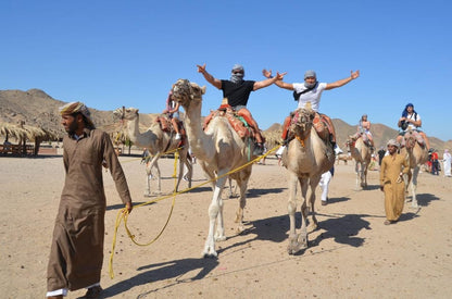 Hurghada: Desert Safari with Camel and Horse Ride