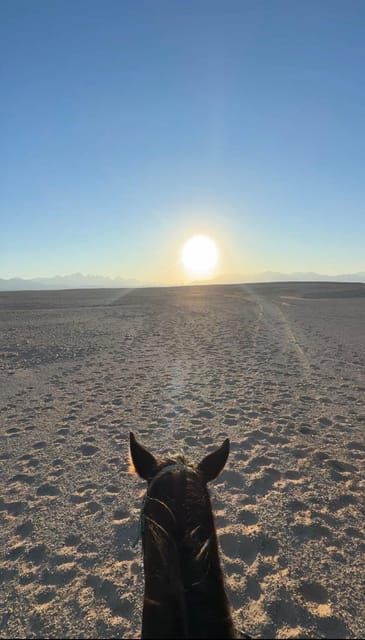 Hurghada: Desert Safari with Horseback Riding, BBQ Dinner and Stargazing Experience