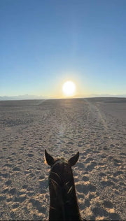 Hurghada: Desert Safari with Horseback Riding, BBQ Dinner and Stargazing Experience