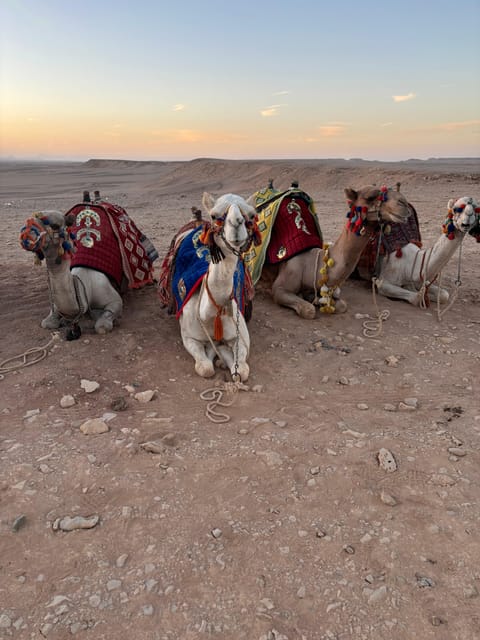 Hurghada: Desert Safari with Horseback Riding, BBQ Dinner and Stargazing Experience