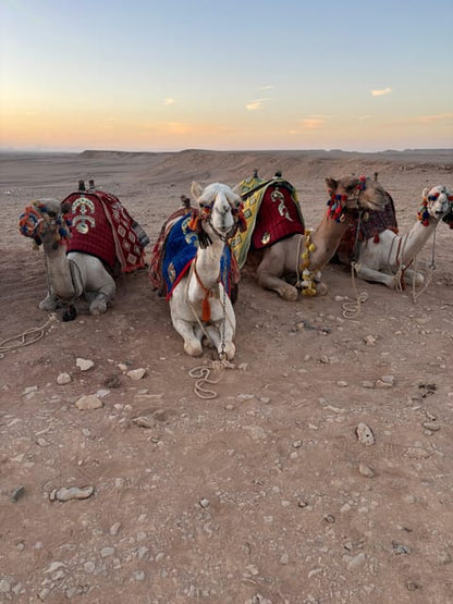 Hurghada: Desert Safari with Horseback Riding, BBQ Dinner and Stargazing Experience