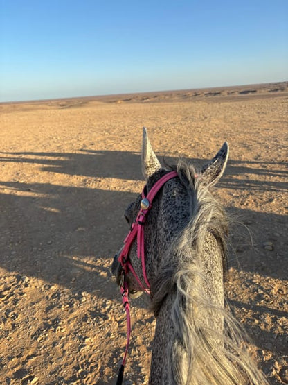 Hurghada: Desert Safari with Horseback Riding, BBQ Dinner and Stargazing Experience