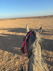 Hurghada: Desert Safari with Horseback Riding, BBQ Dinner and Stargazing Experience