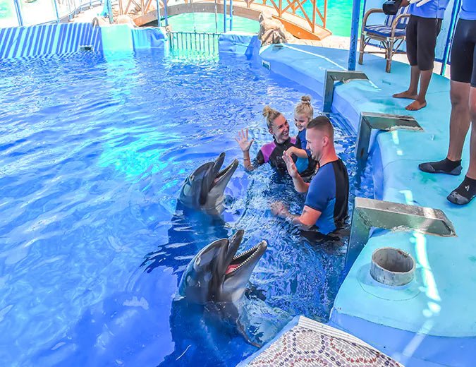 Hurghada: Dolphin World Show Entry Tickets with Hotel Pickup