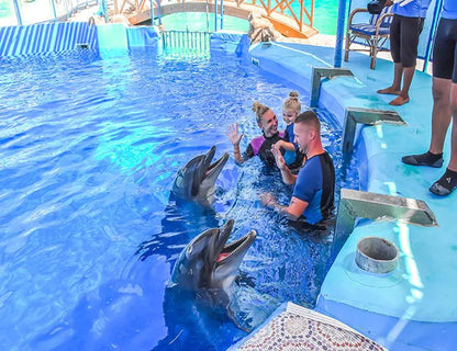 Hurghada: Dolphin World Show Entry Tickets with Hotel Pickup