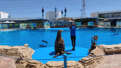 Hurghada: Dolphin World Show Entry Tickets with Hotel Pickup
