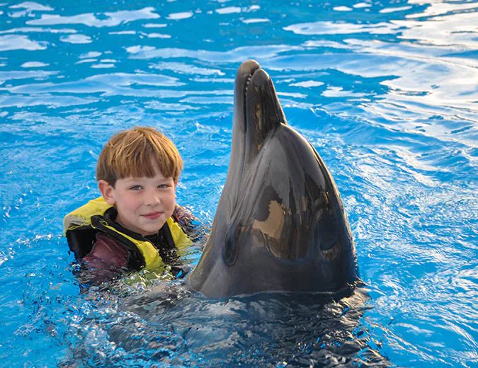 Hurghada: Dolphin World Show Entry Tickets with Hotel Pickup