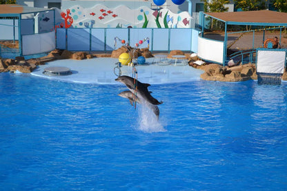 Hurghada: Dolphin World Show Entry Tickets with Hotel Pickup