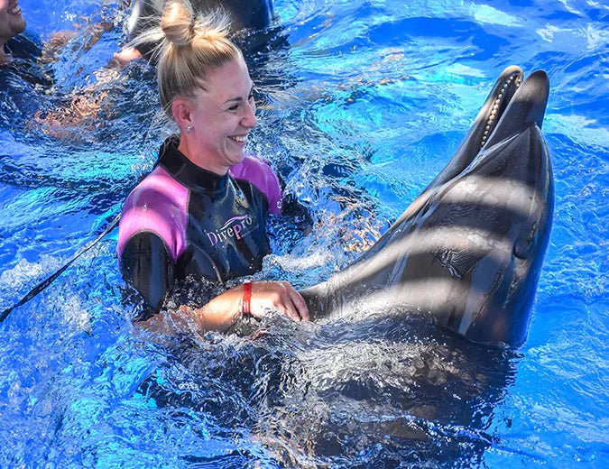 Hurghada: Dolphin World Show Entry Tickets with Hotel Pickup