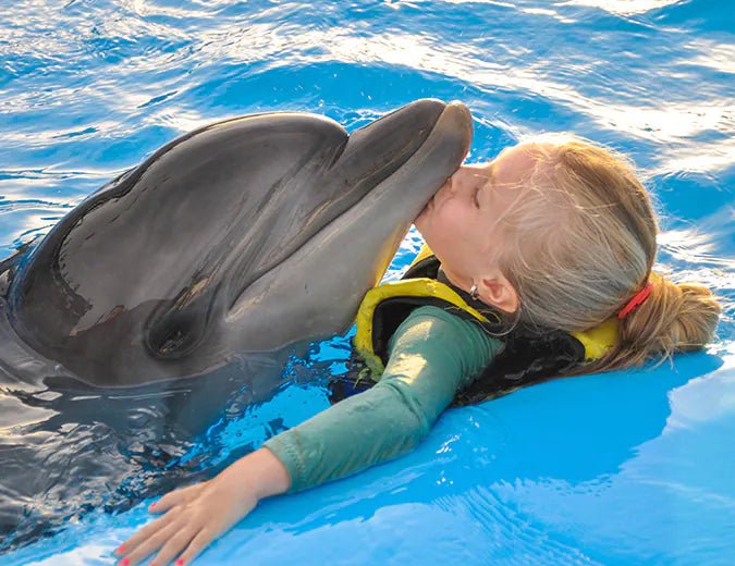 Hurghada: Dolphin World Show Entry Tickets with Hotel Pickup