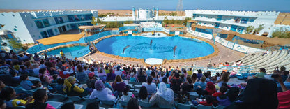 Hurghada: Dolphin World Show Entry Tickets with Hotel Pickup