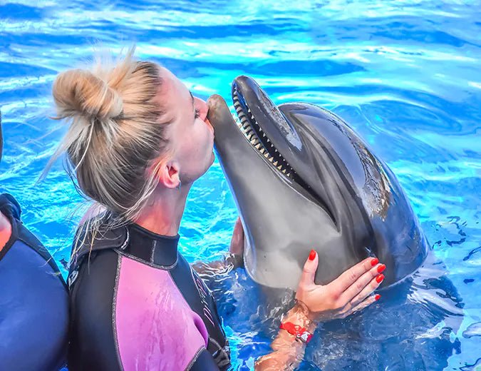 Hurghada: Dolphin World Show Entry Tickets with Hotel Pickup