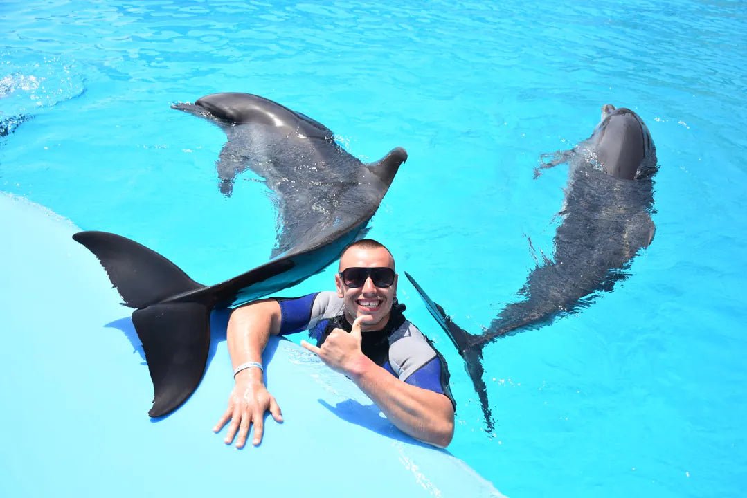 Hurghada: Dolphin World Show Entry Tickets with Hotel Pickup