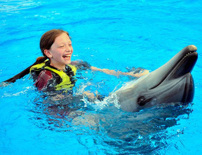 Hurghada: Dolphin World Show Entry Tickets with Hotel Pickup