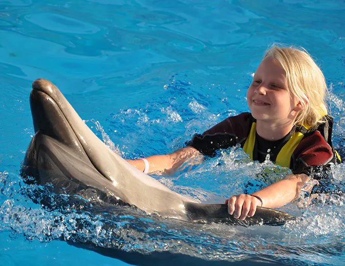Hurghada: Dolphin World Show Entry Tickets with Hotel Pickup