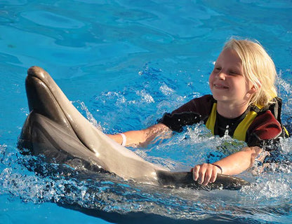 Hurghada: Dolphin World Show Entry Tickets with Hotel Pickup