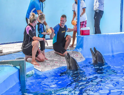 Hurghada: Dolphin World Show Entry Tickets with Hotel Pickup