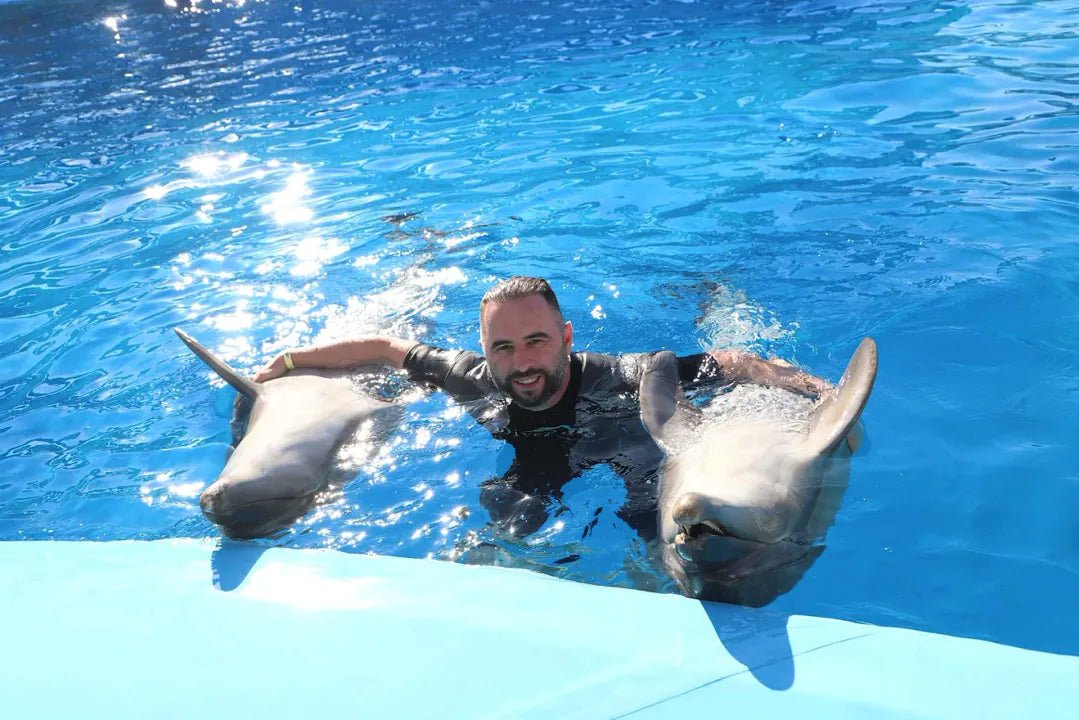 Hurghada: Dolphin World Show Entry Tickets with Hotel Pickup