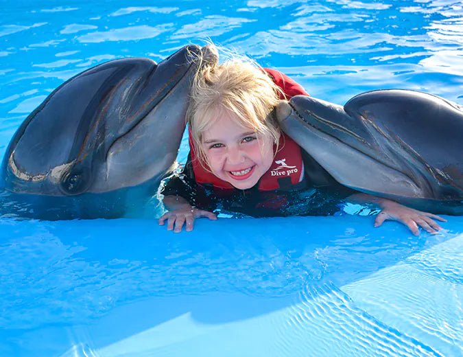 Hurghada: Dolphin World Show Entry Tickets with Hotel Pickup