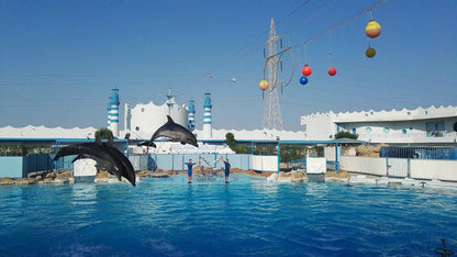 Hurghada: Dolphin World Show Entry Tickets with Hotel Pickup