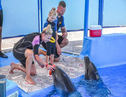Hurghada: Dolphin World Show Entry Tickets with Hotel Pickup