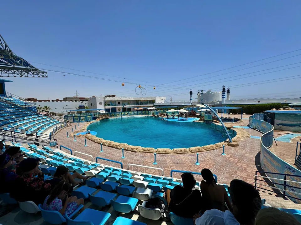 Hurghada: Dolphin World Show Entry Tickets with Hotel Pickup