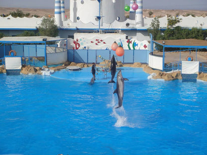 Hurghada: Dolphin World Show Entry Tickets with Hotel Pickup