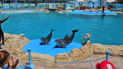 Hurghada: Dolphin World Show Entry Tickets with Hotel Pickup